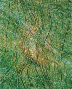 "Ohne Titel", 90 cm x 100 cm, Öl auf Leinwand, 2002